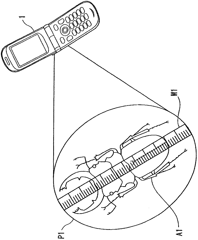 Projection device, projection device control method, and projection device control program