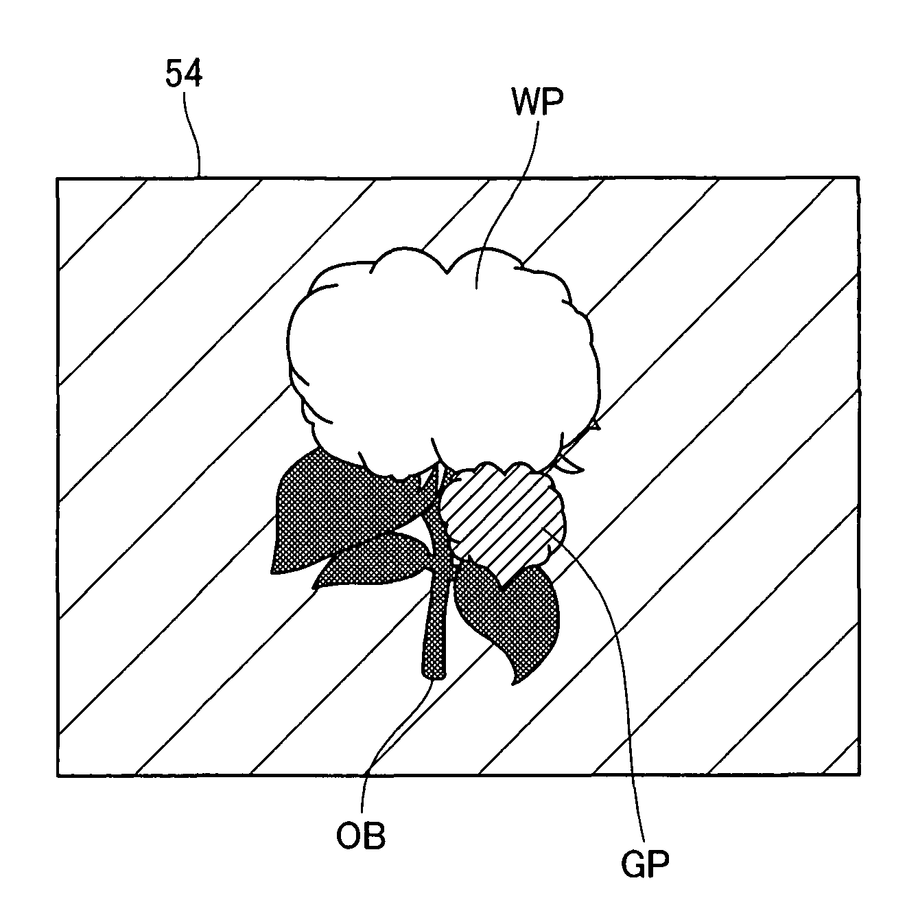 Focusing information visualization device, and corresponding method, program and recording medium