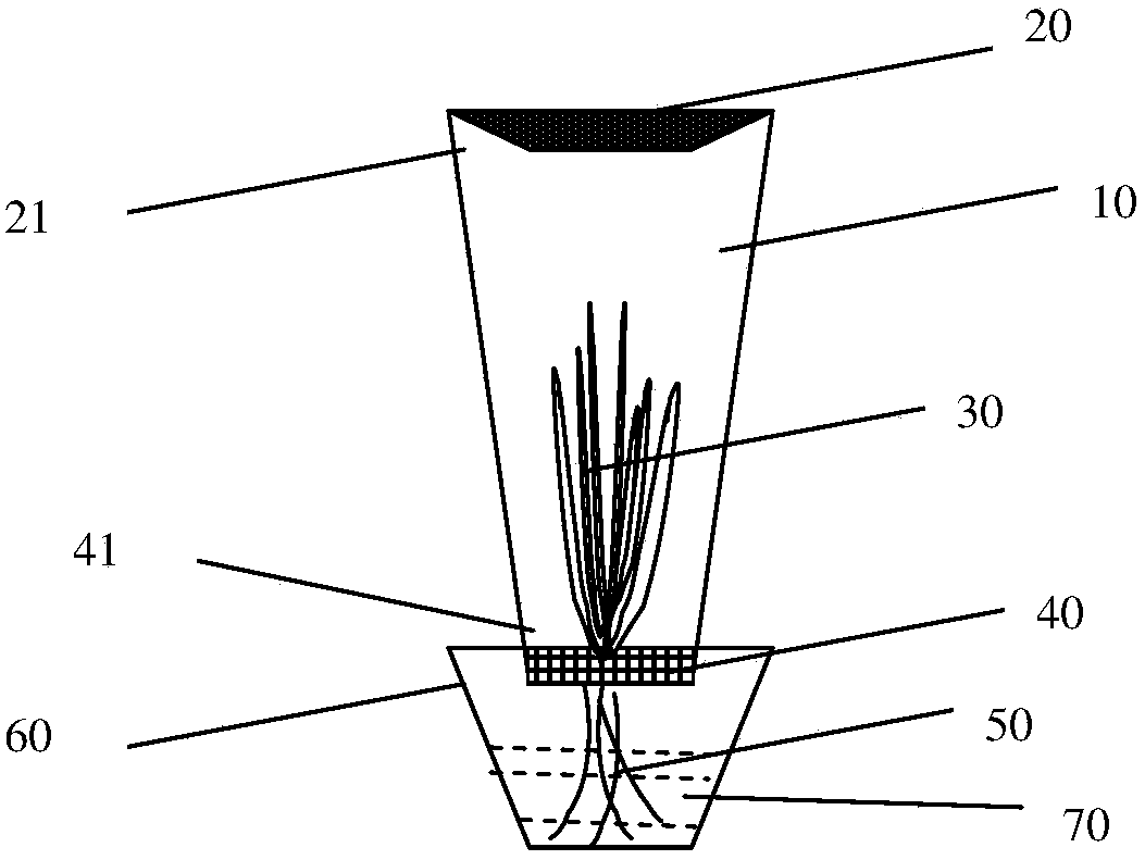 A convenient method for observing and raising rice planthoppers