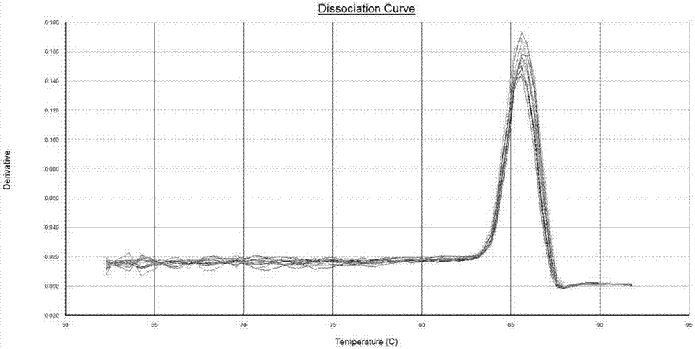 Primer composition for detecting expression level of human-derived HSP70-1 gene and application of primer composition