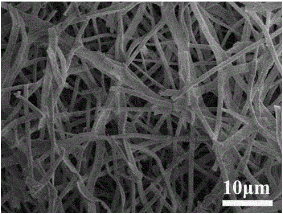 Preparing method for BiVO4 nnanobelt material