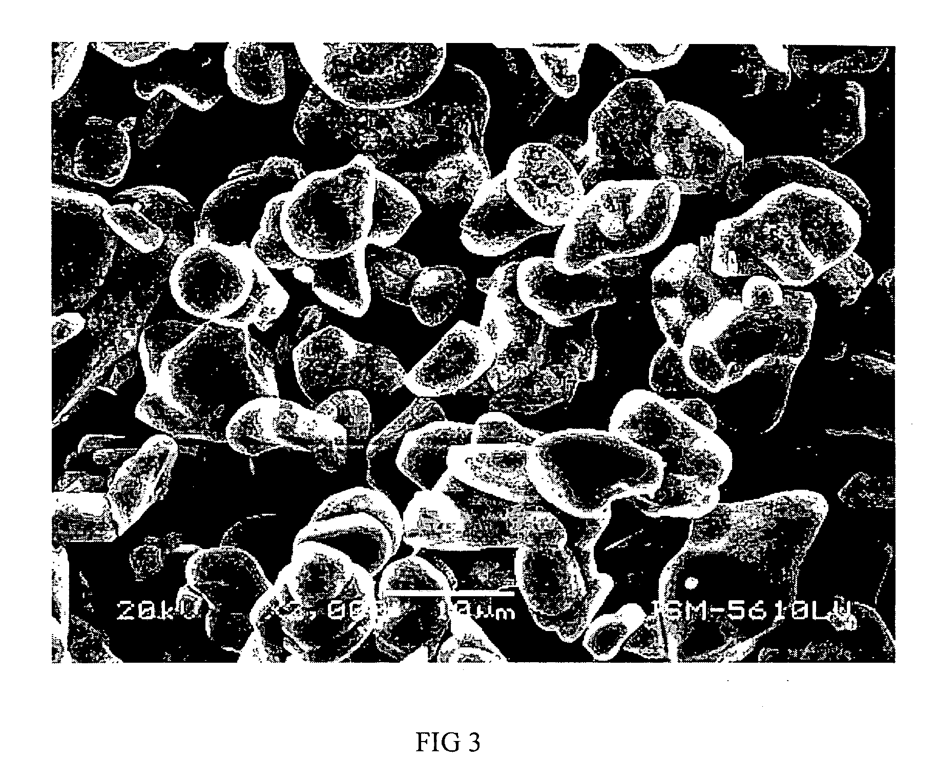 Materials for positive electrodes of lithium ion batteries and their methods of fabrication