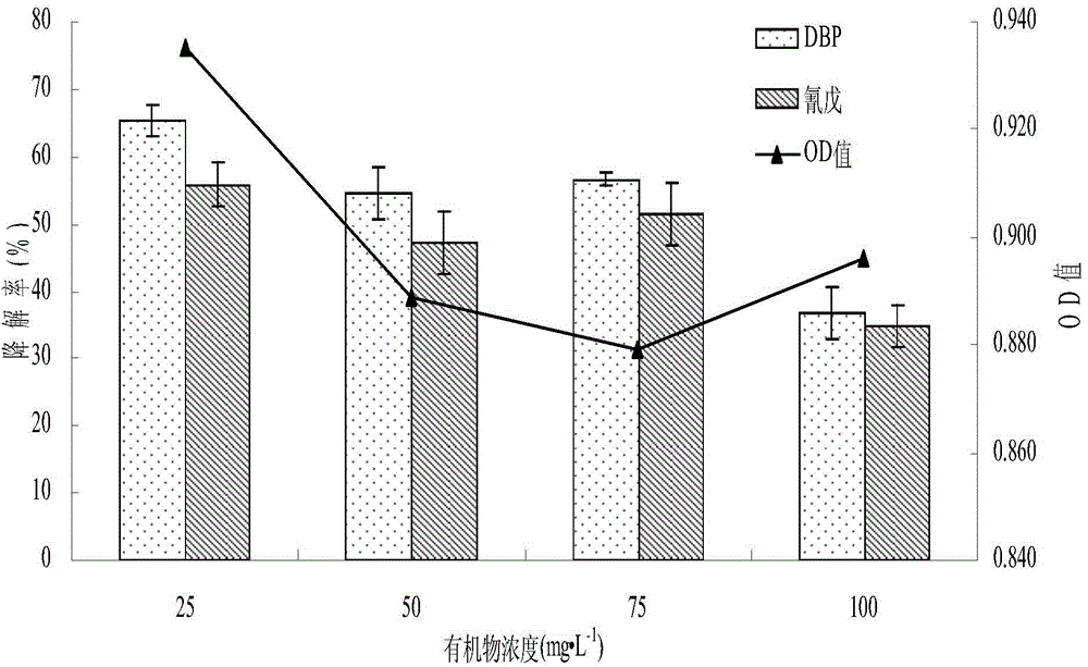 Fungus capable of degrading phthalic acid ester and pesticide simultaneously and application thereof