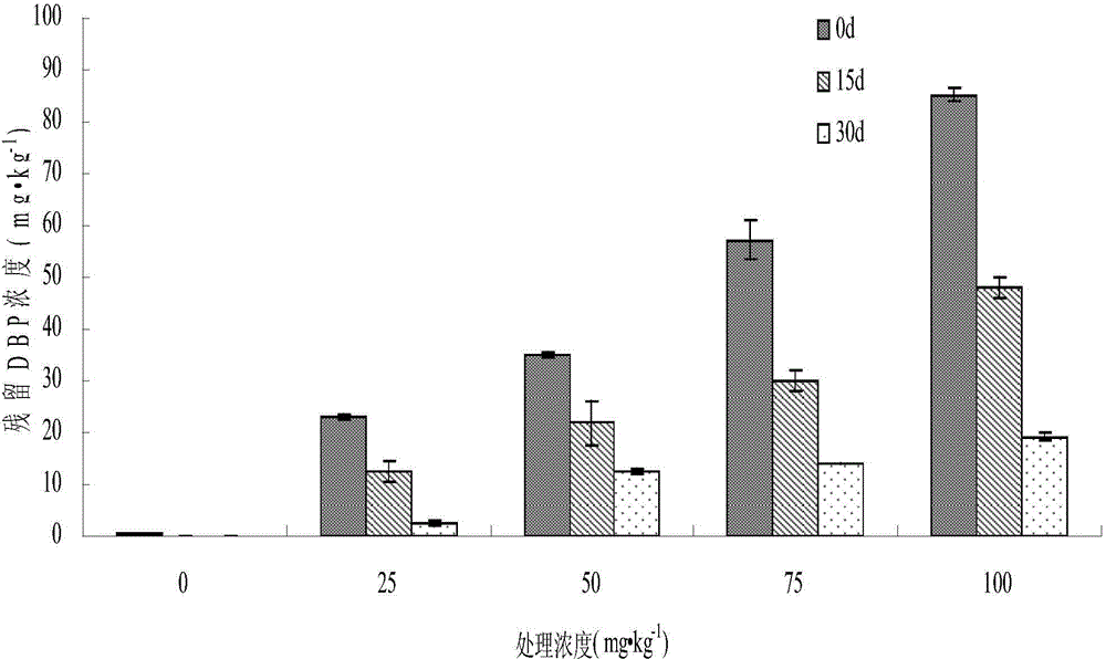 Fungus capable of degrading phthalic acid ester and pesticide simultaneously and application thereof