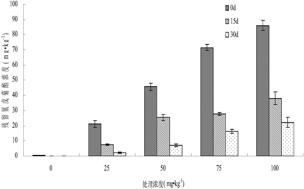 Fungus capable of degrading phthalic acid ester and pesticide simultaneously and application thereof