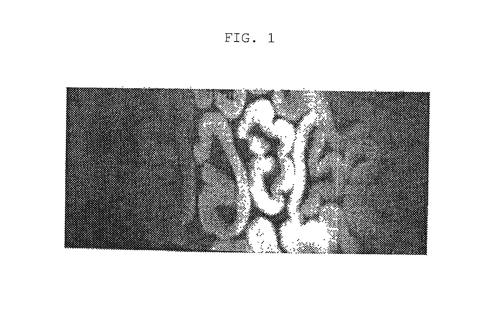 Method for producing hollow rayon fibers