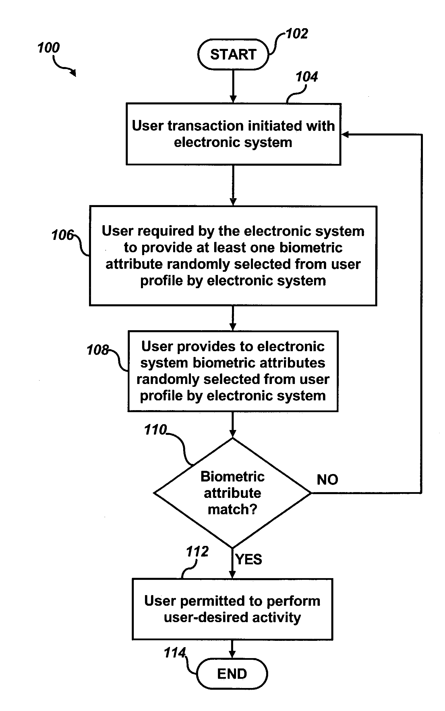 Random biometric authentication apparatus