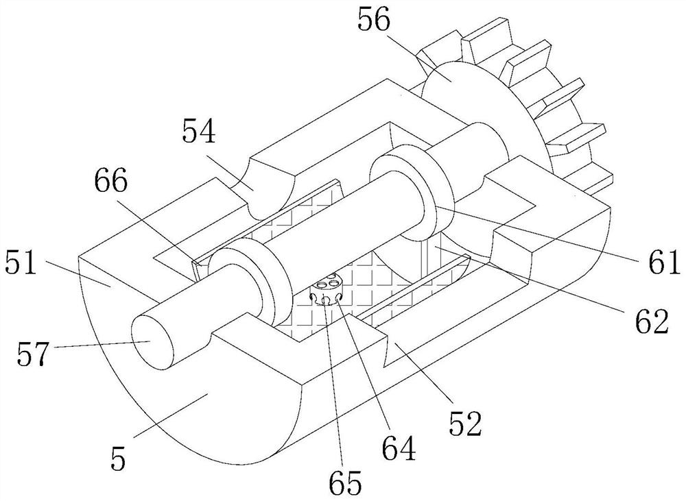 Swimming training and feeding device for gold arowana