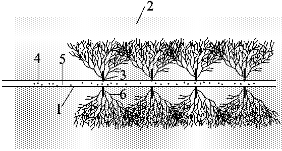 Static blasting fracturing method used for exploitation of shale gas and other low permeability oil and gas reservoirs