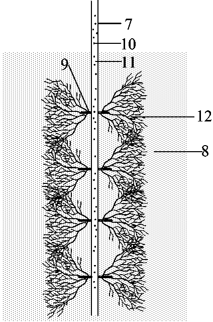 Static blasting fracturing method used for exploitation of shale gas and other low permeability oil and gas reservoirs