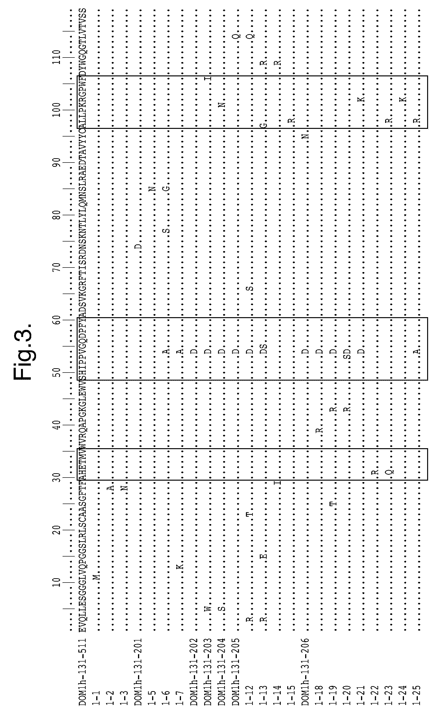 Methods for selecting protease resistant polypeptides