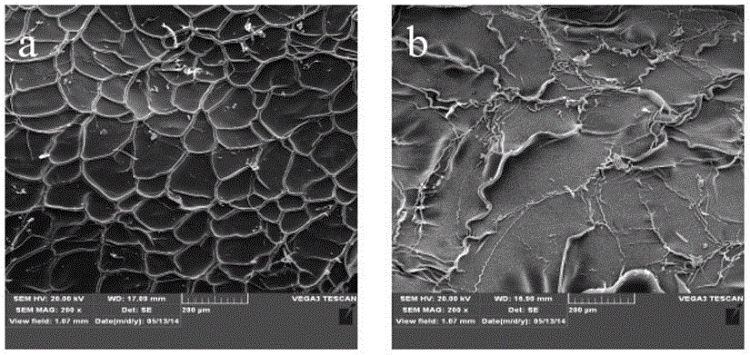 Preparation method of in-vivo hemostatic dressing which takes transglutaminase as cross-linking agent