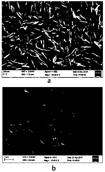 Preparation method of magnesium alloy surface super-hydrophobic fluorine conversion coating