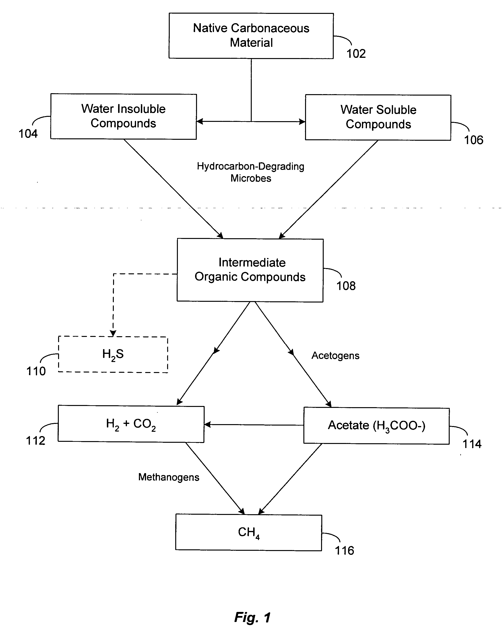 Generation of materials with enhanced hydrogen content from anaerobic microbial consortia