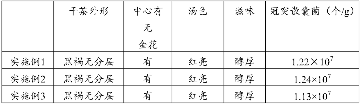 Qianliang tea and preparation method thereof