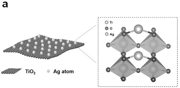 Application of titanium oxide-loaded silver monatomic material in virus killing