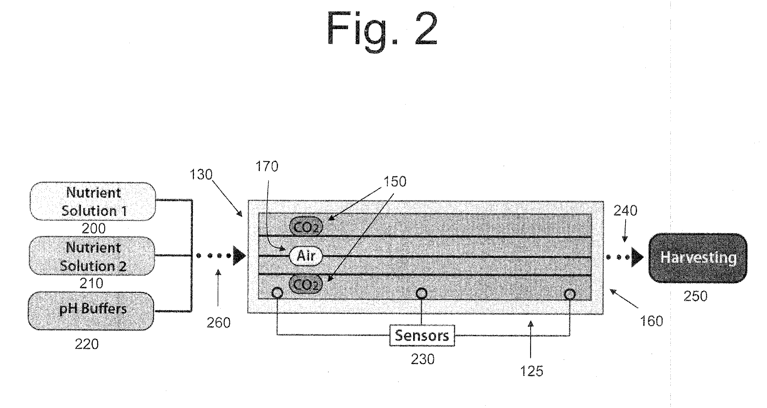 V-Trough Photobioreactor System and Method of Use