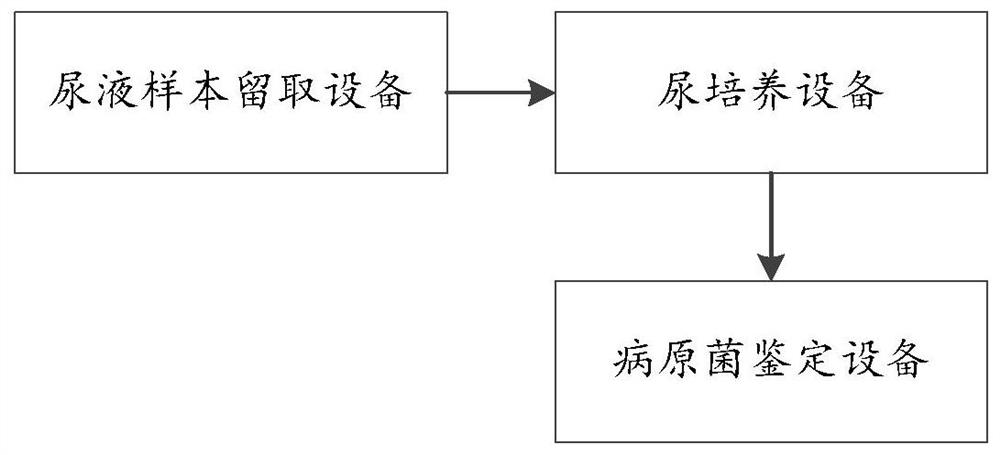 Urine pathogenic bacteria detection system