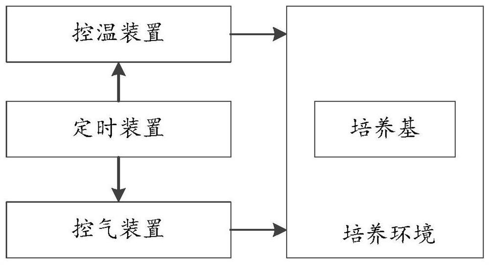 Urine pathogenic bacteria detection system