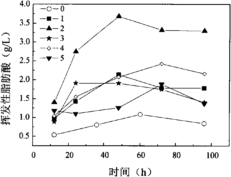 Method for producing volatile fatty acid by using sludge as substrate