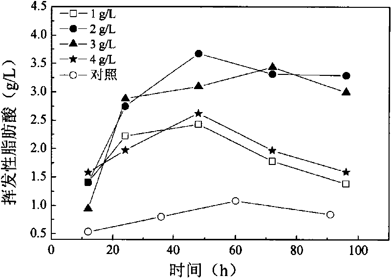 Method for producing volatile fatty acid by using sludge as substrate