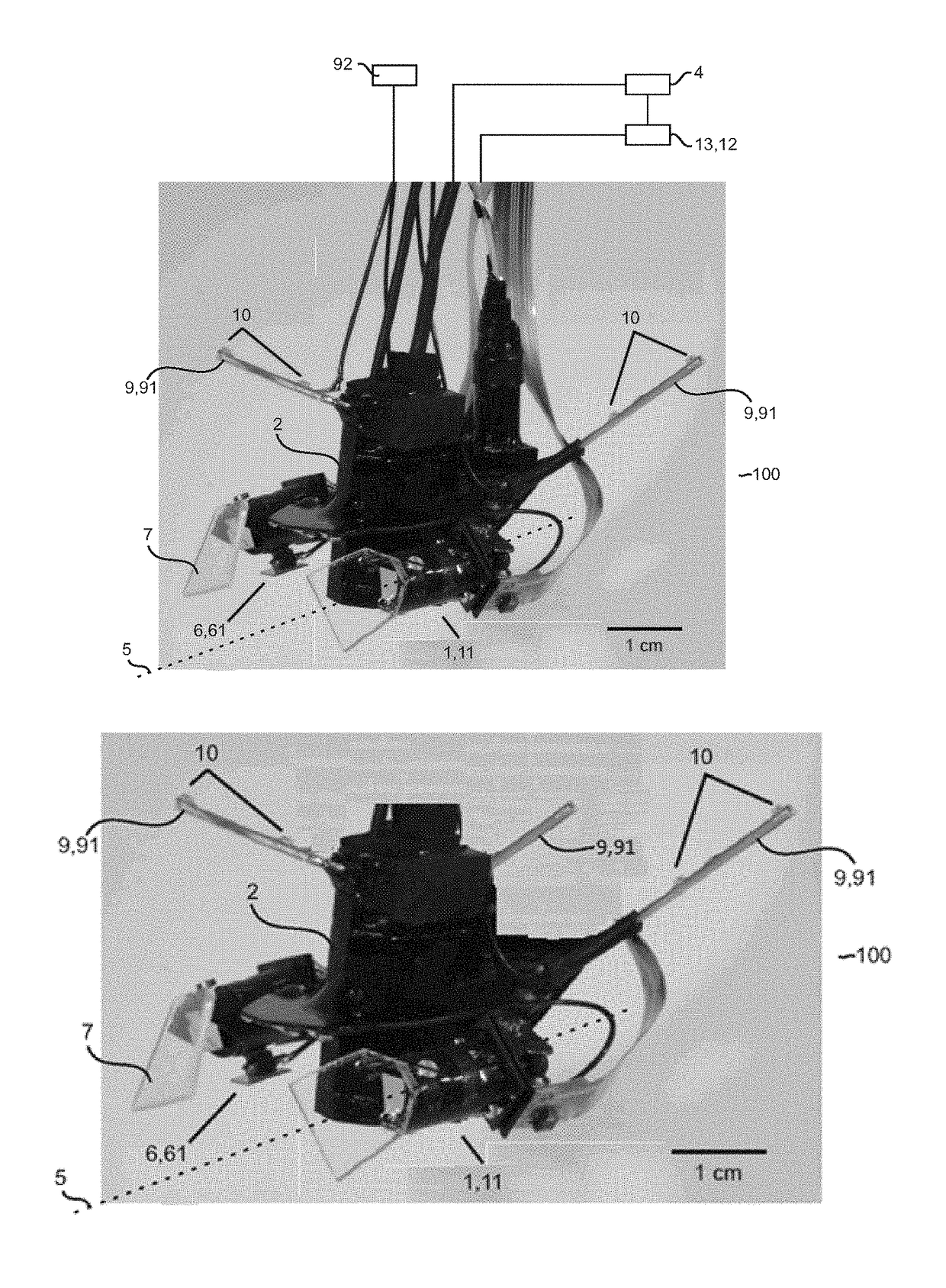 Ocular Videography System