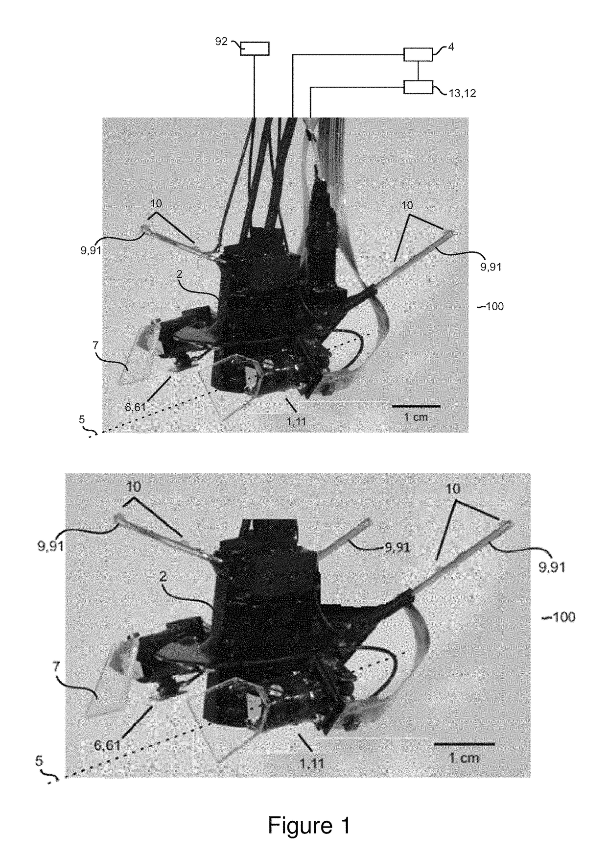 Ocular Videography System