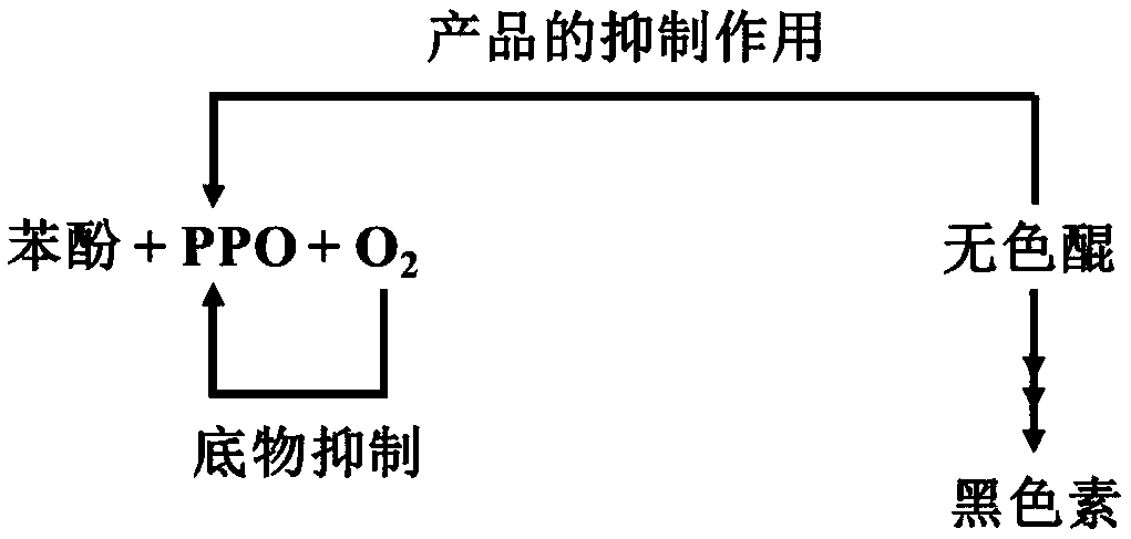 Anti-browning processing method of whole sweet potato powder