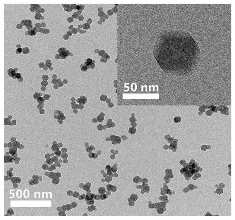 Composite fluorescent particle protected by superhydrophobic shell and preparation method thereof