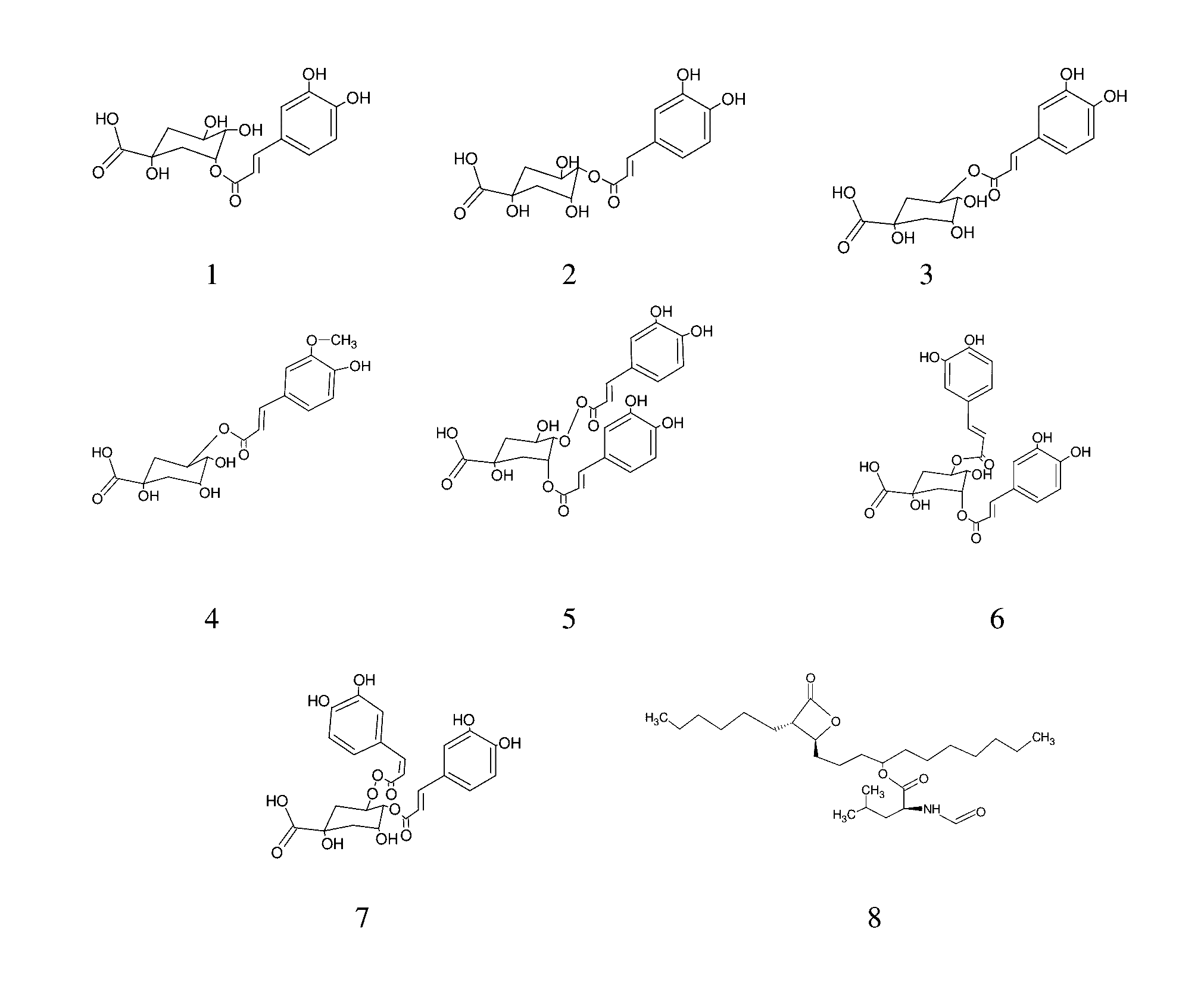 Composition and method for the treatment of obesity