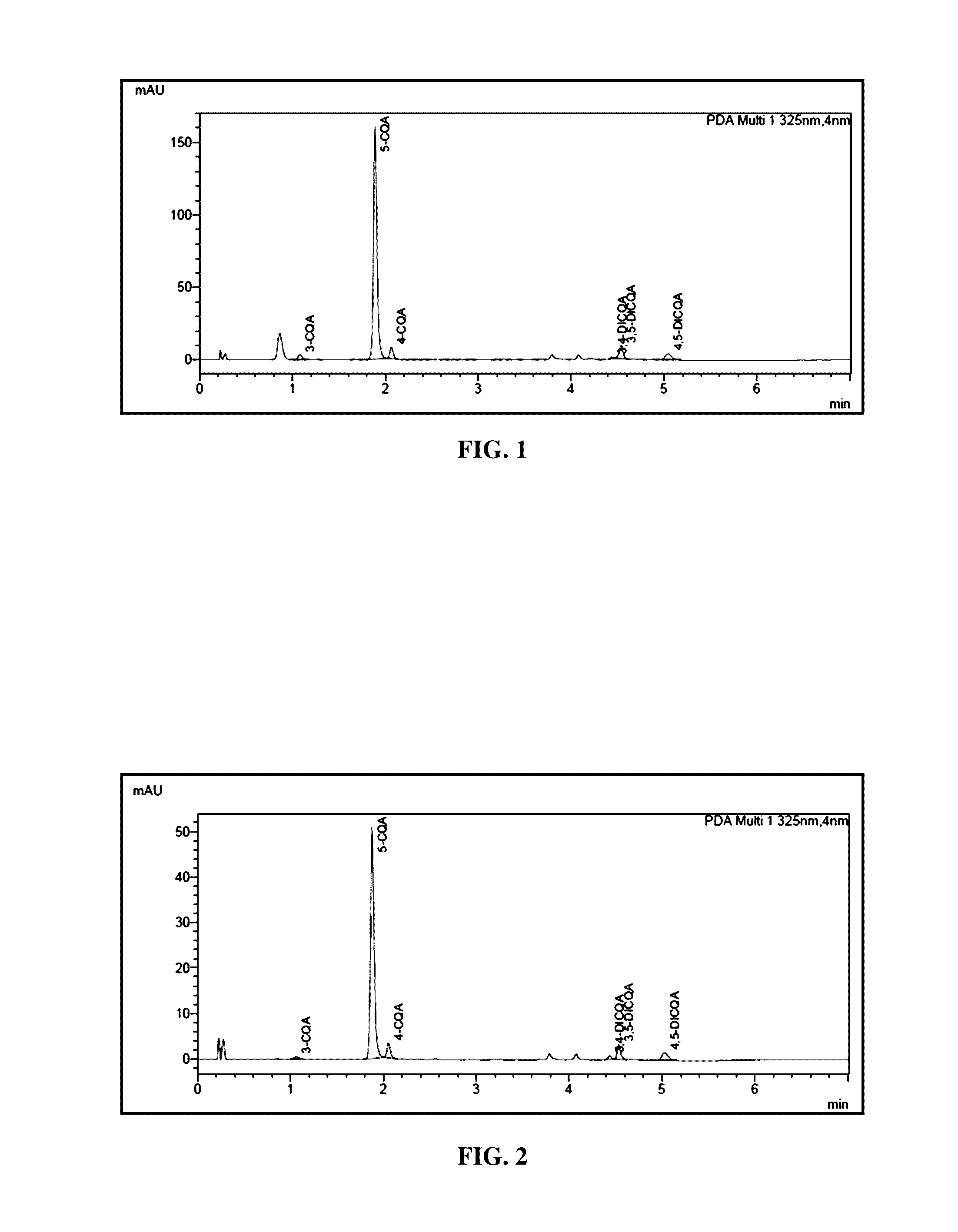 Composition and method for the treatment of obesity