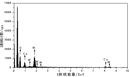 Method for preparing cupric tungstate via electrolysis of cation membrane