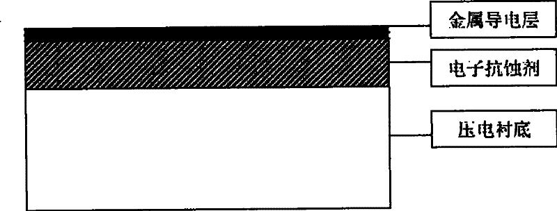 Method of producing surface acoustic wave devices by exposing X-rays in a direct writing way