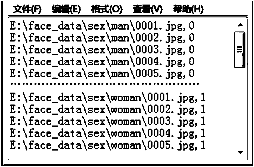 Face identification method and device based on multiple models