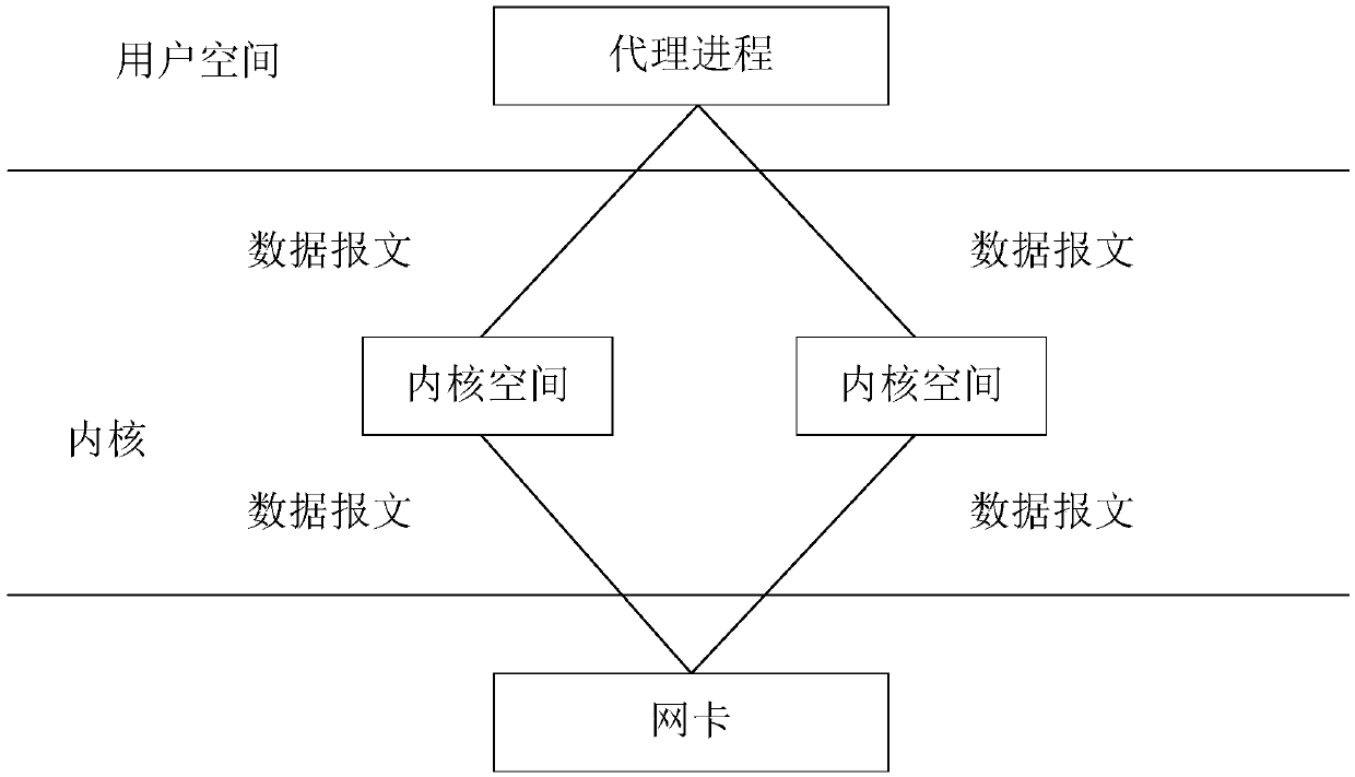 Proxy server and data message processing method thereof