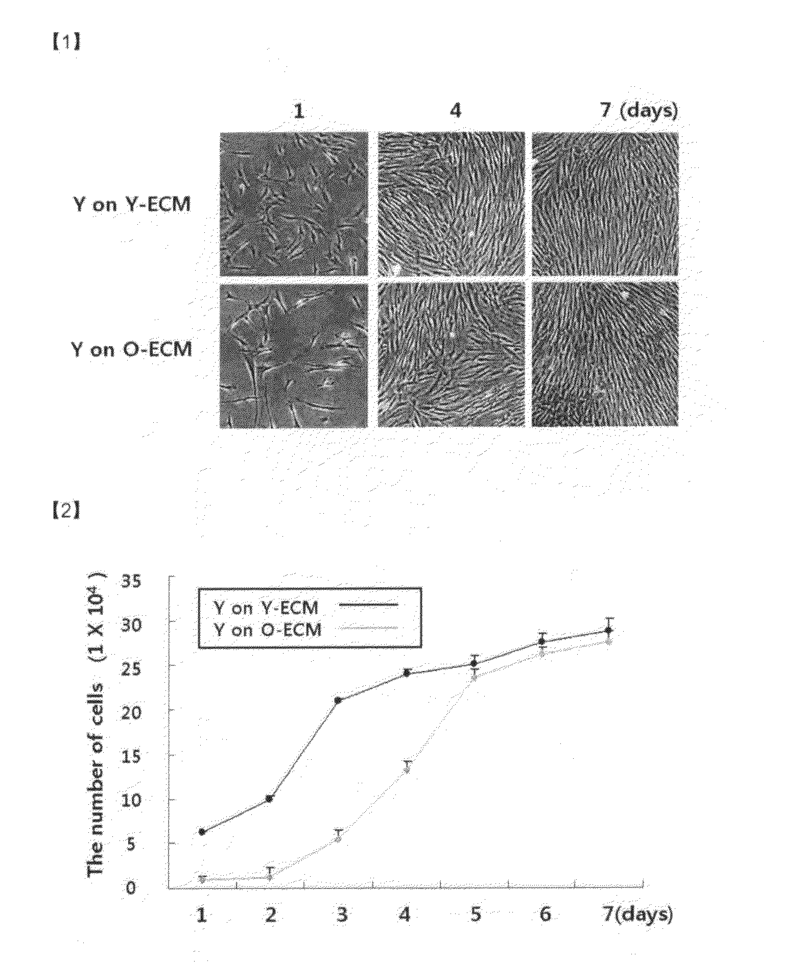 Senescence control composition containing extracellular matrix components, and senescence control method for senescent cells using same