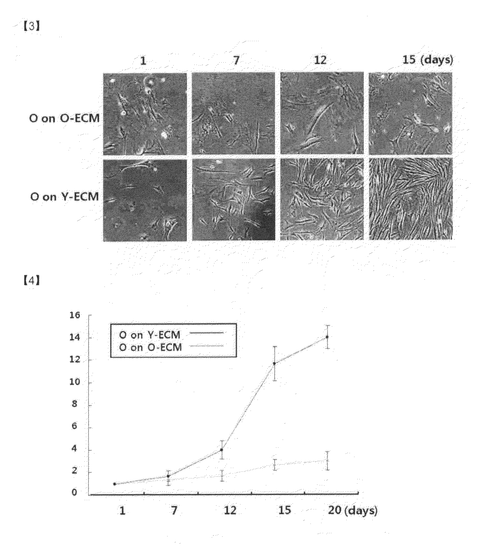 Senescence control composition containing extracellular matrix components, and senescence control method for senescent cells using same