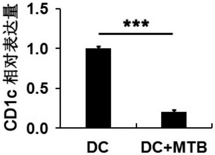 Application of CD1c to smear and culture negative pulmonary tuberculosis diagnosis