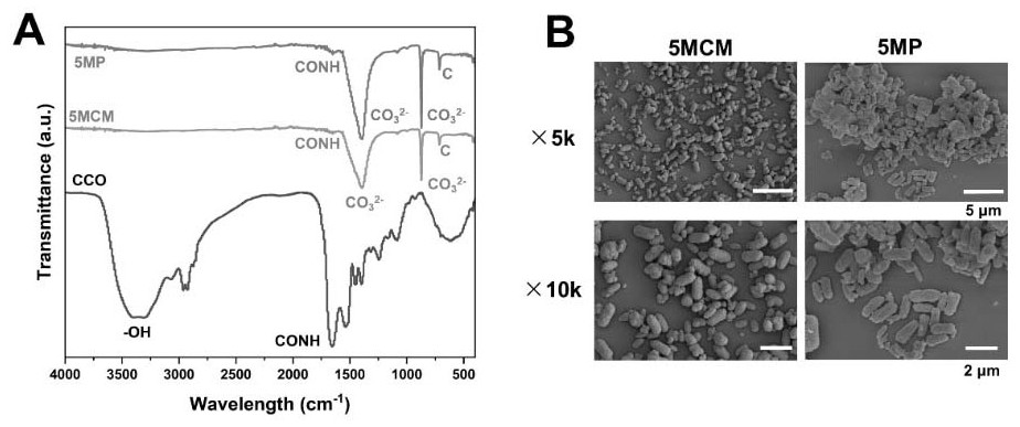 Drug-loaded bone repair material as well as preparation method and application thereof