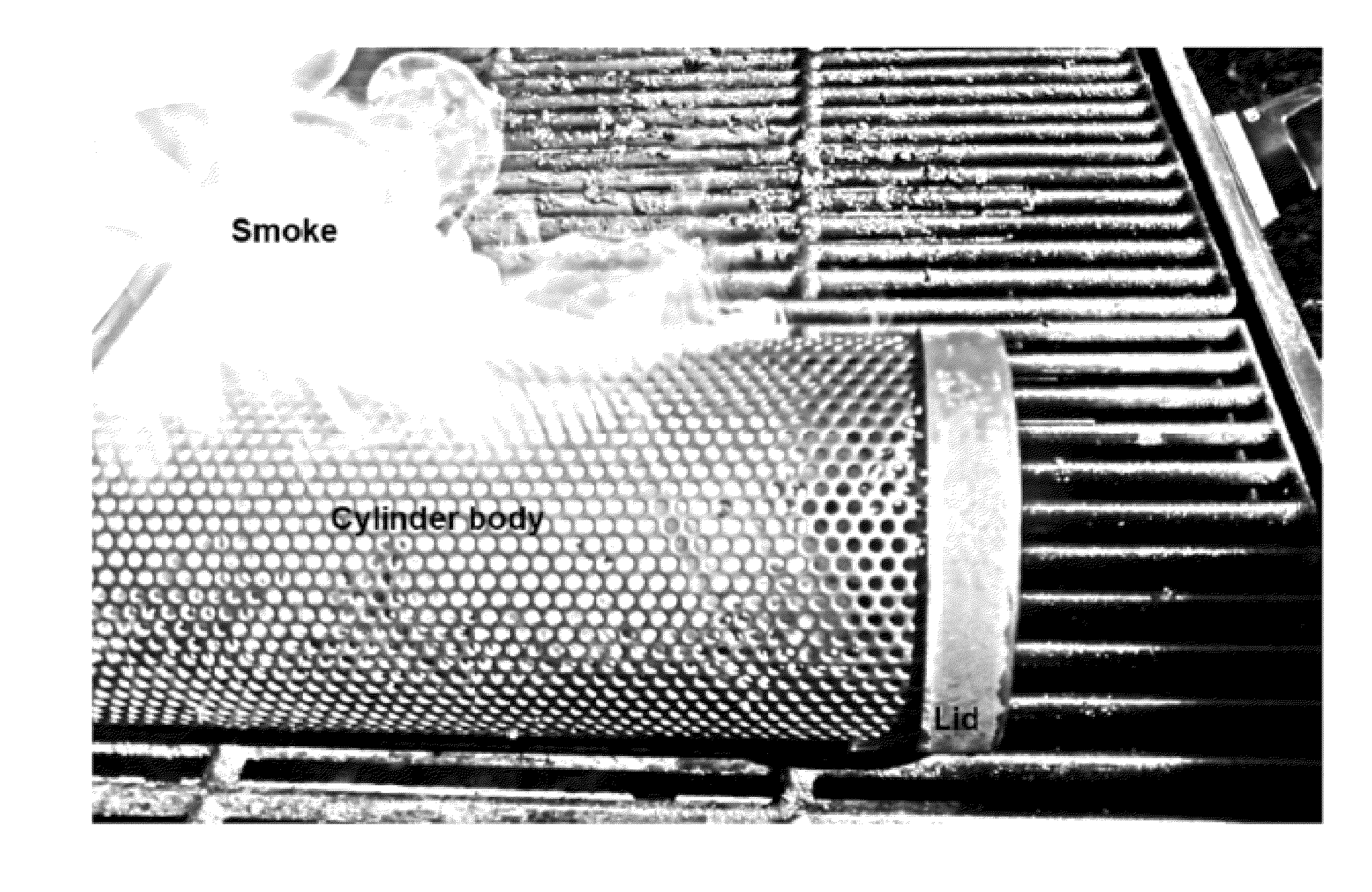 Smoke generation device