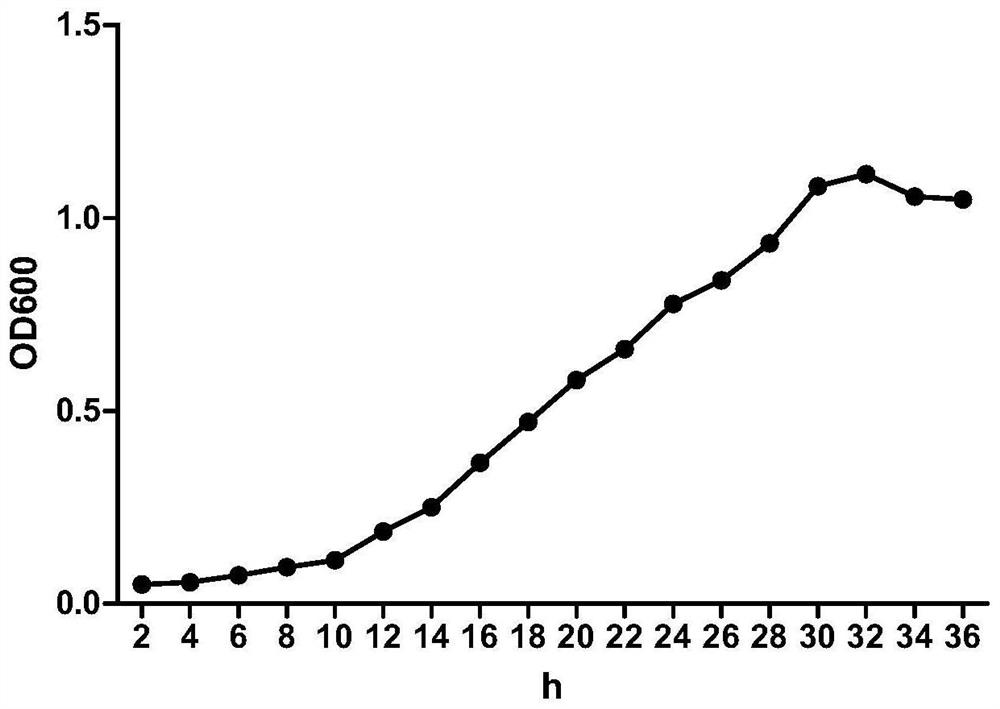 Preparation method and application of Arthrobacter tobacco zl-1 and its compost low-temperature fermentation bacterial agent