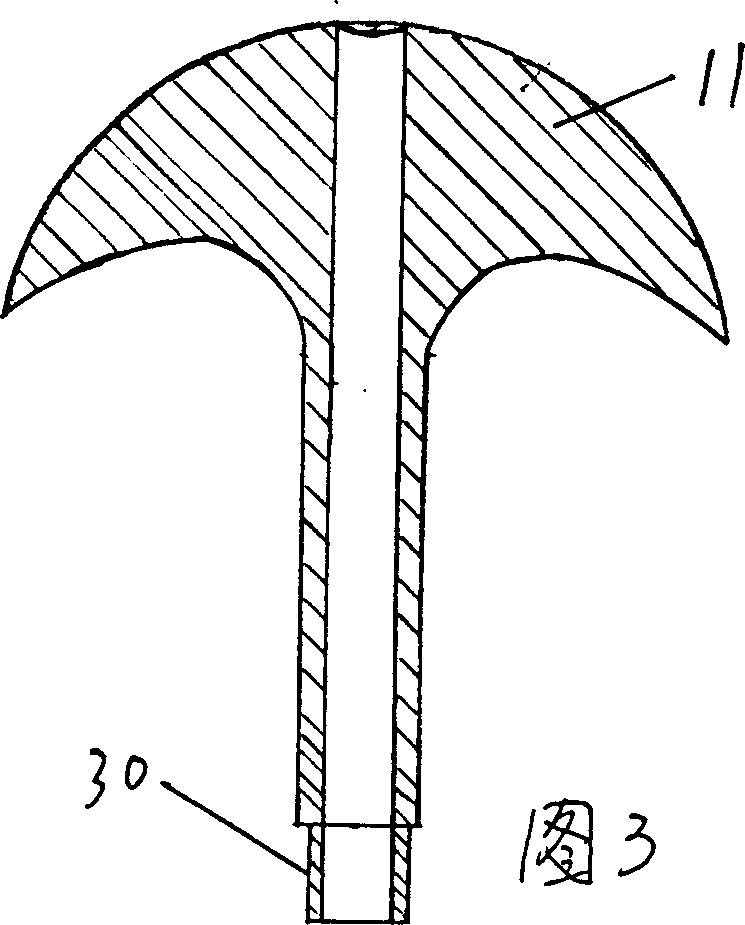 Liquid edible fungus strain producing method and apparatus