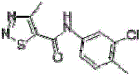 Sterilization composition containing Bixafen and Tiadinil and application thereof