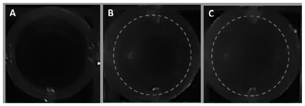 Preparation and application of efficient hemostatic and antibacterial multifunctional material