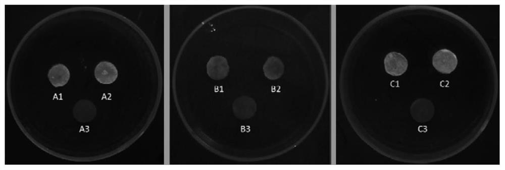 Preparation and application of efficient hemostatic and antibacterial multifunctional material