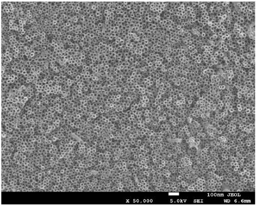 A method for preparing an oxide nanotube array layer on the surface of a zirconium-based amorphous alloy