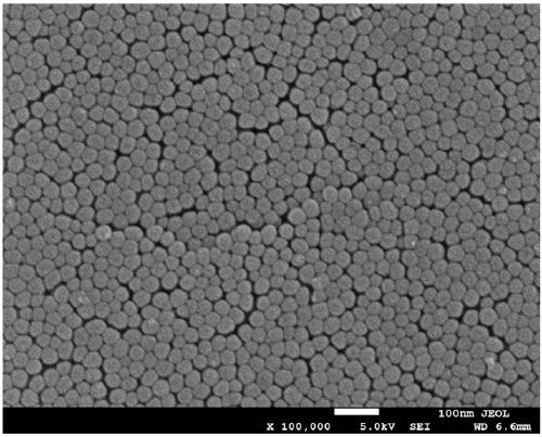 A method for preparing an oxide nanotube array layer on the surface of a zirconium-based amorphous alloy