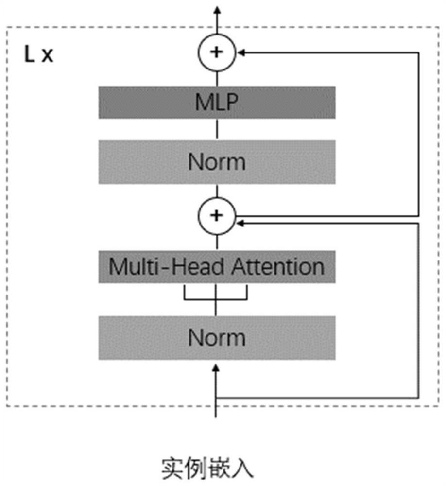 Fine-grained cancer subtype classification method