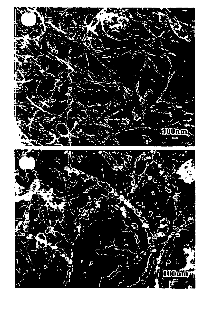 Reinforced carbon nanotubes