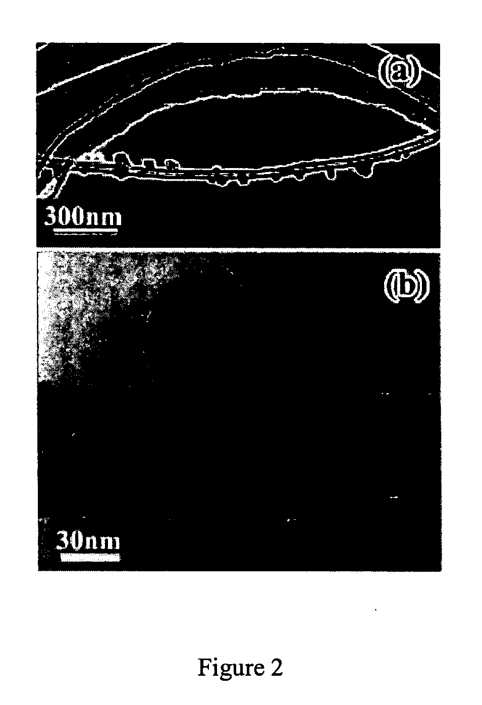 Reinforced carbon nanotubes